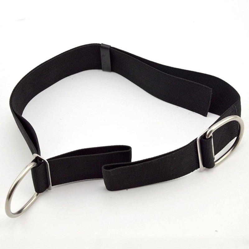 Regulowany pasek kroczny do nu – Tech Gear Accessories recenzja i cena